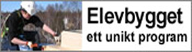 Elev som snickrar