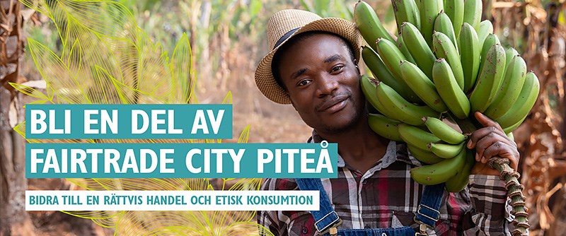 För att stödja och uppmuntra insatser som leder till att Fairtrade City Piteå blir starkare.