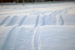 Skoterspår i snön