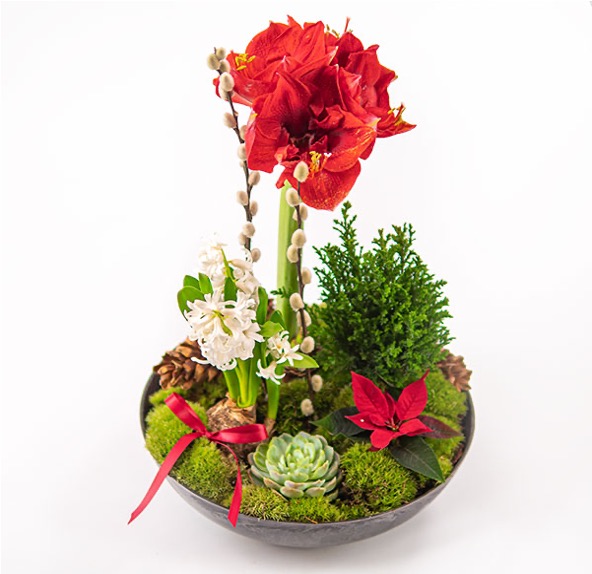 Årets julplantering Bild som visar utseende på Årets julplantering fylld med vackra julblommor.