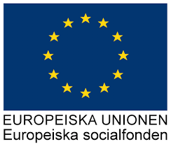 EU-logga, socialfonden