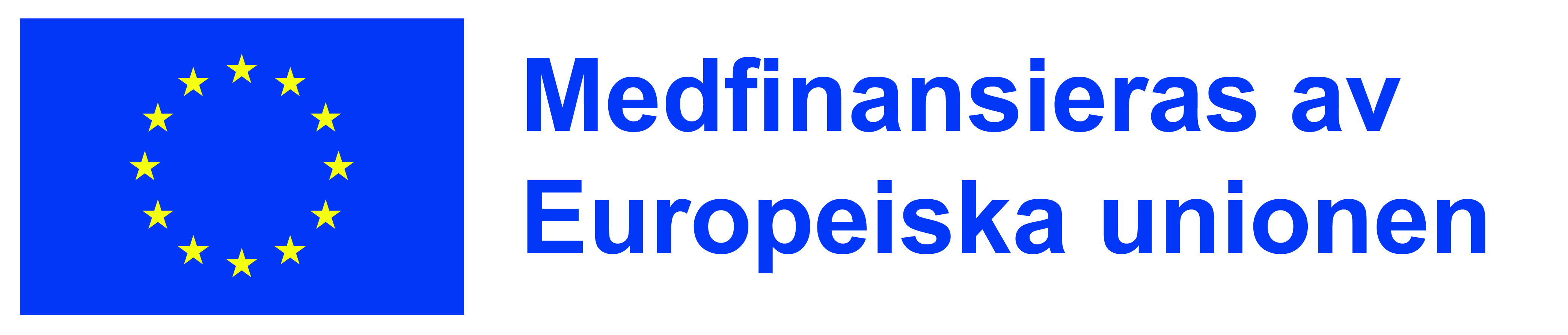 Banner med EU logga och text Medfinansieras av Euripeiska unionen