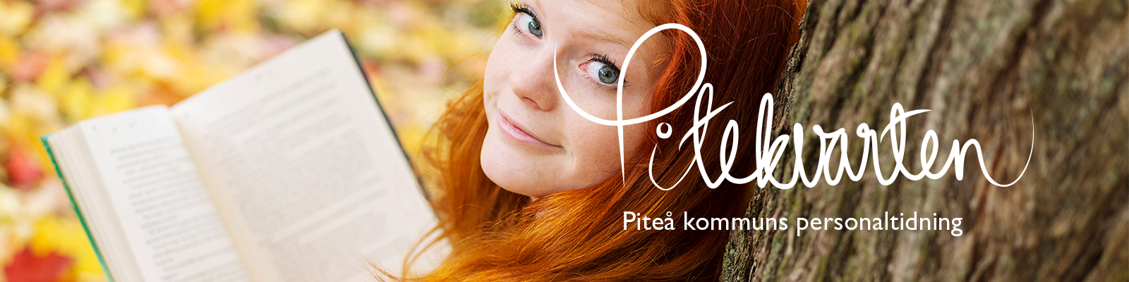 toppbanner pitekvarten nr 3 2018