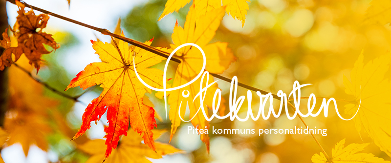 Pitekvarten nummer 1 2018. Header