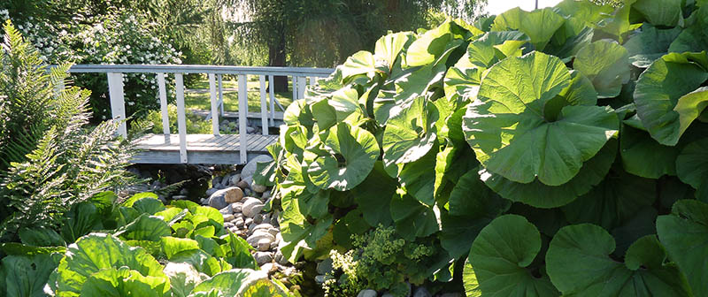 Små broar över vatten och frodiga planteringar.