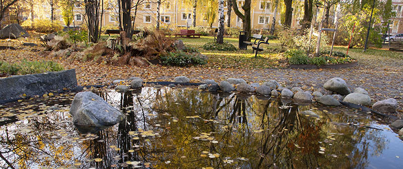 Delar av parkens damm och perennplanteringar.