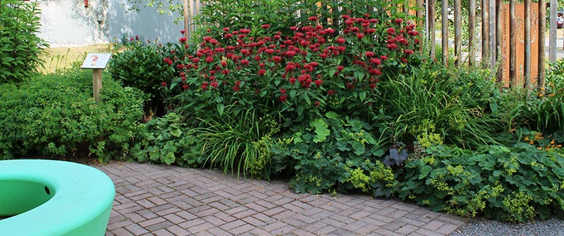 Pocketparken del av perennplantering som blommar i rött.