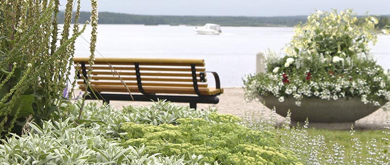 Perennplantering i förgunden med sittbänk, sommarblommor och vy över vattnet.