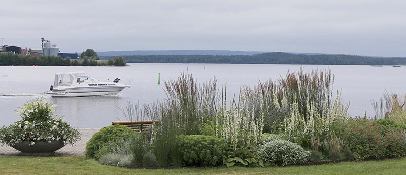 Vy över del av rabatt, sommarblommor och omgivningarna.