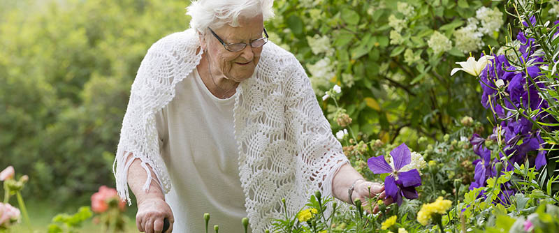 Piteå satsar på att minska fallolyckor bland äldre.