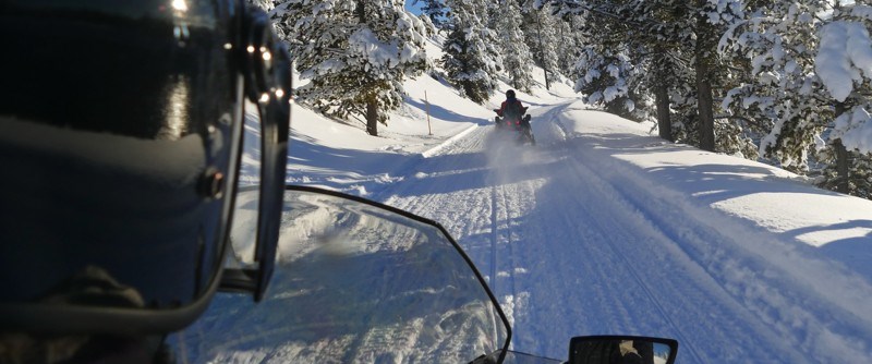 Grans önskar alla en god jul och ett gott nytt år!