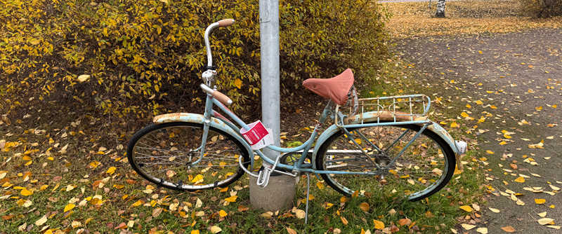 Tisdag 21 oktober flyttar Piteå kommun felparkerade och övergivna cyklar.