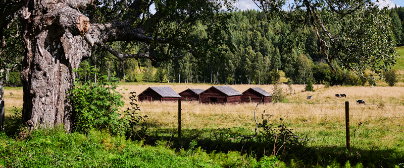 Sök byapeng senast 28 februari.