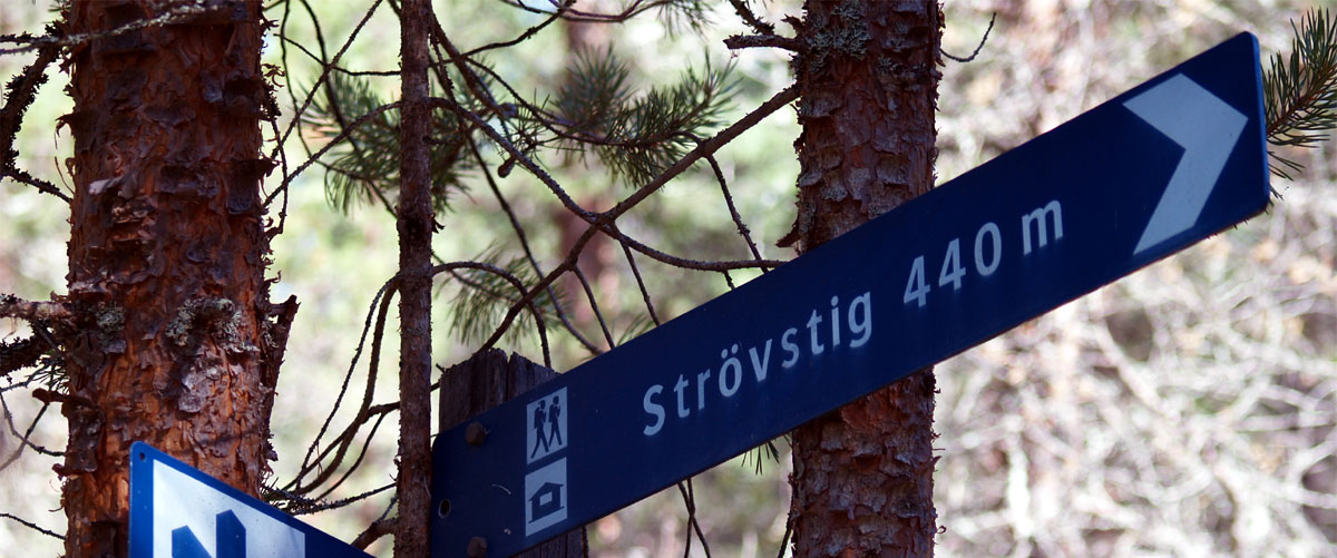 Strövstig