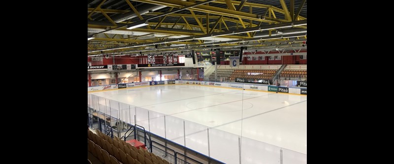 LF Arena 