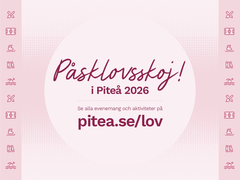 Ta del av aktiviteterna här!