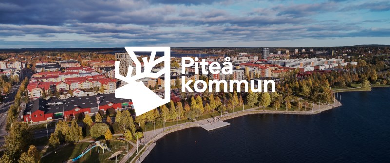 En förnyad ren är en del i den nya varumärkesstrategin för Piteå kommun och platsen Piteå. 