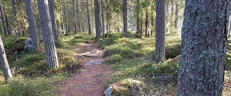 Strömlida är ett populärt skogsområde på kommunal mark för rekreation och friluftsliv