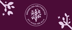 Vad handlar mänskliga rättigheter om på lokal nivå. Kom och prata med oss på Gallerian.