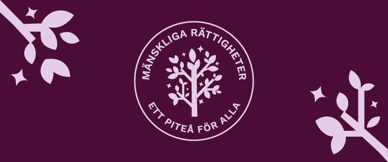 Vad handlar mänskliga rättigheter om på lokal nivå. Kom och prata med oss på Gallerian.