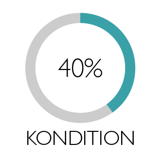 Illustration i form av cirkel som visar Kondition 40%