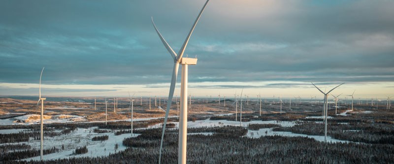 Renewable energy in Piteå - Business