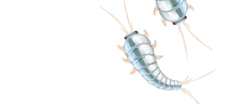 Illustration: Shonyjade, Getty Images