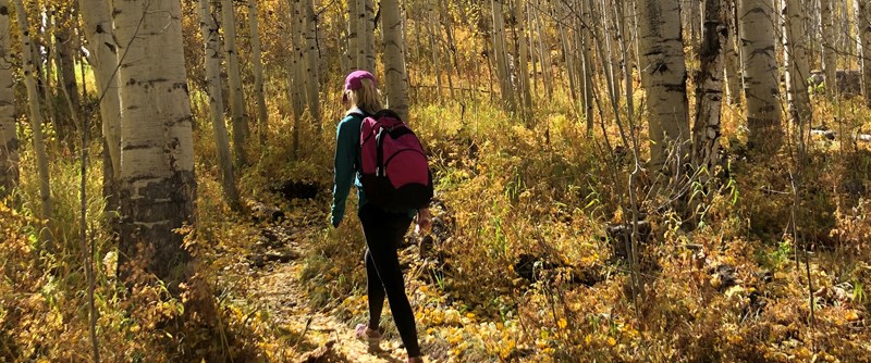 Höstlovet - läsårets första lov