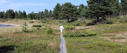 Årets sommarkampanj vill inspirera fler att upptäcka och besöka Piteå under de långa ljusa sommarmånaderna.