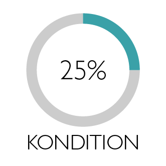 Illustration i form av cirkel som visar Kondition 25%