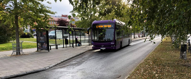 18-24  september reser du gratis med Piteå stadsbuss och Länstrafikens lokala linjer i Piteå.