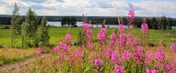 I Åträsk finns ett rikt friluftsliv, fiskevatten och orörd natur både sommar som vinter. 