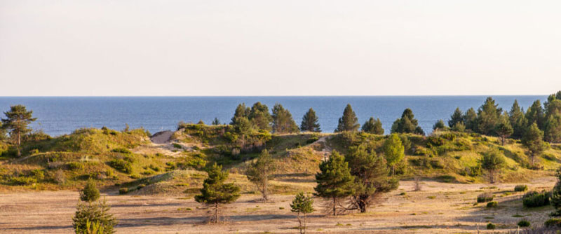 Under 2023 pågår ett projekt i Luleå och Piteå kommuner där de tystaste och mest besöksvärda naturområdena ska identifieras.
