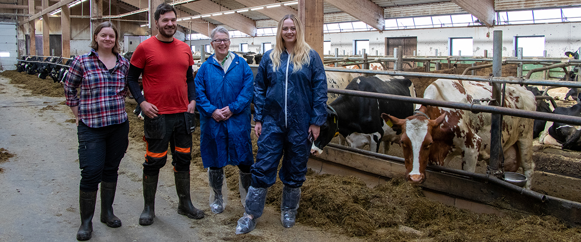 Från vänster Desirée Nyman, Johannes Nyman, Karin Isaksson och Kata Nilsson