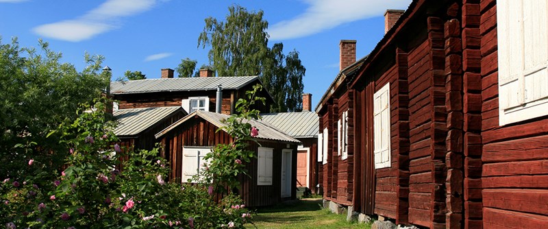 Fördjupa dina kunskaper om Öjebyns kyrkby eller Daniel Solanders arv.