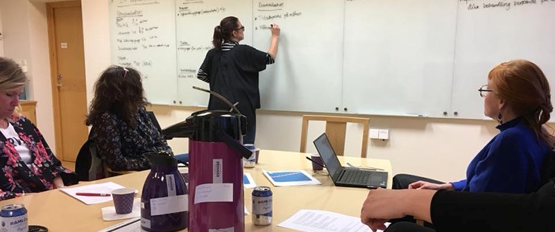 Många projektgrupper fick riktad rådgivning för att komma vidare.