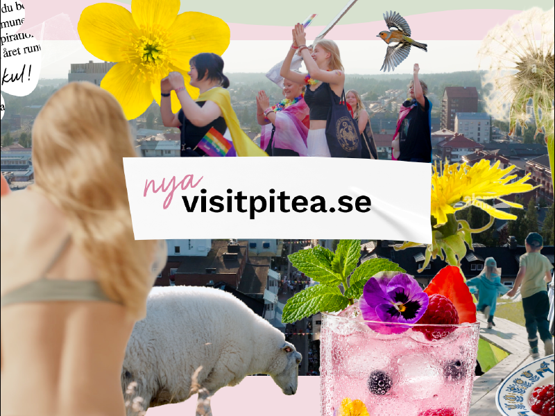 Besök vititpitea.se