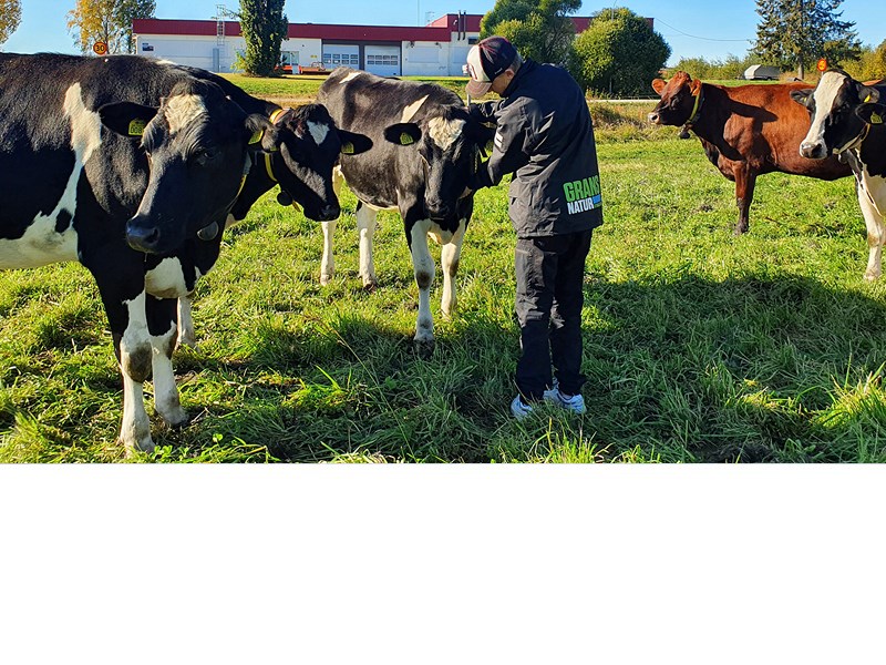 Betessläpp