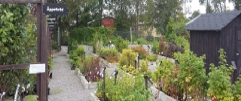 Annikas Handelsträdgård 