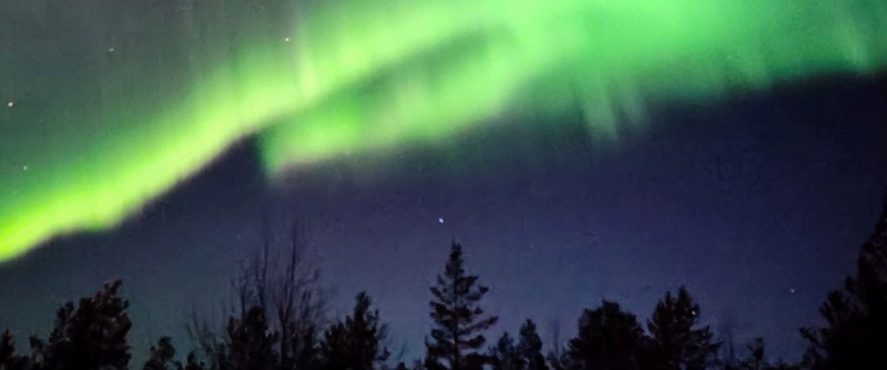 Northern Light - Easy to love