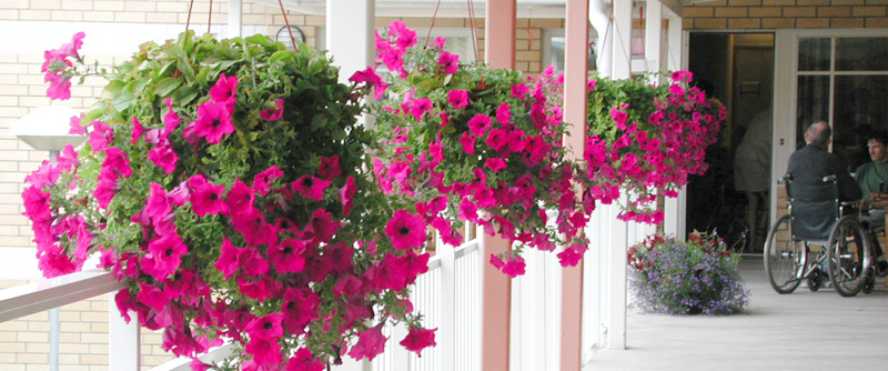 Blommigt och ljust på vår stora balkong.