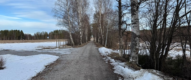 Det är denna 300 meter långa sträcka som medlen ska gå till att asfaltera. 