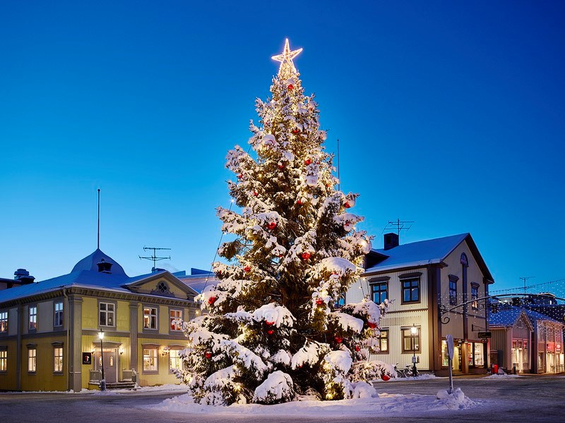 Allt om julen i Piteå