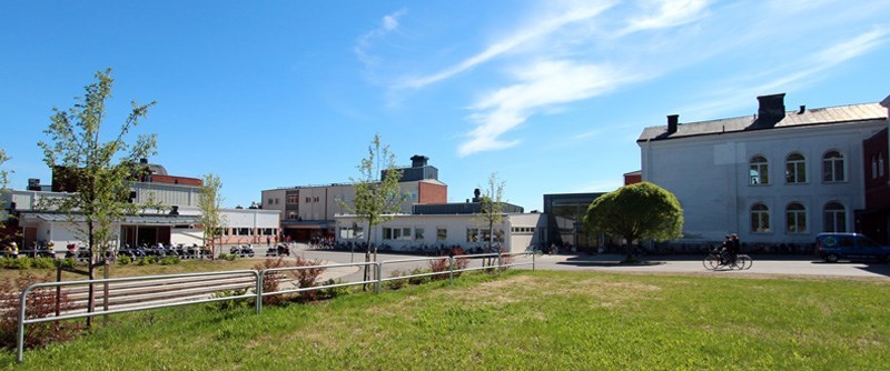 Vy över Christinaskolan