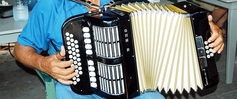 Övriga instrument - Dragspel