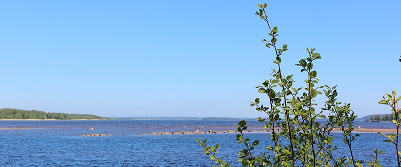 Svensbyfjärden föreslås bli ett vattenskyddsområde för att säkra tillgången till dricksvatten - idag och i framtiden.