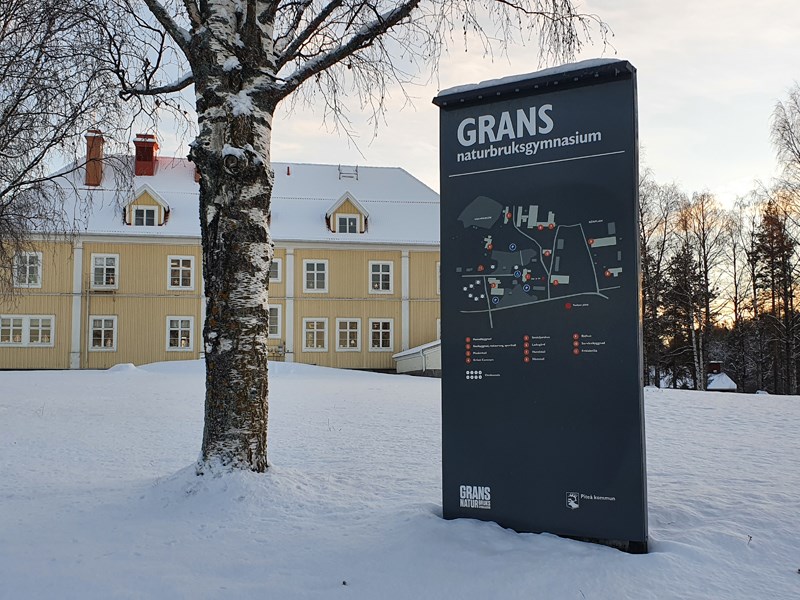 Öppet hus