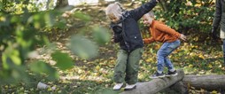 En ny förskola planeras i Bergsviken, dela dina tankar kring den nya förskolan.
