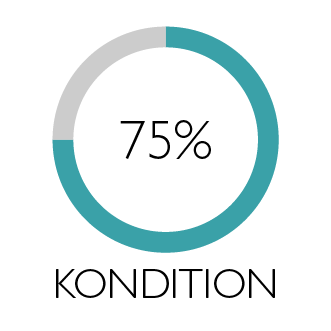 Illustration i form av cirkel som visar Kondition 75%