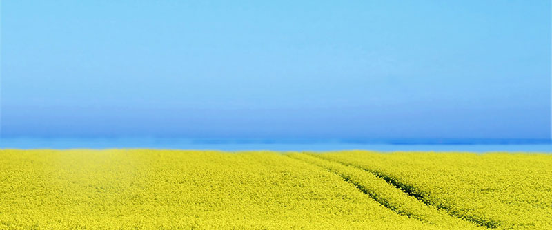 Blått och gult - för Ukraina 